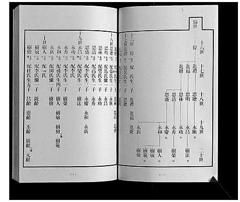 [王]黄县琅琊王氏族谱 (山东) 黄县琅琊王氏家谱_十.pdf