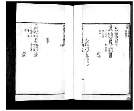 [王]鳌山王氏世系谱 (山东) 鳌山王氏世系谱_五.pdf