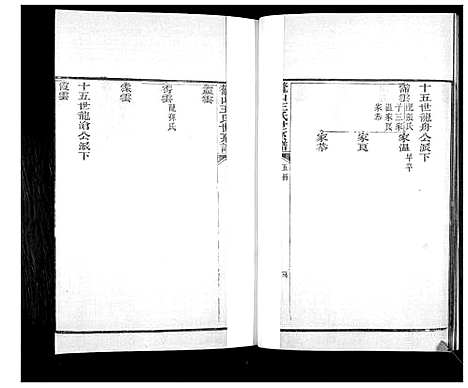 [王]鳌山王氏世系谱 (山东) 鳌山王氏世系谱_五.pdf