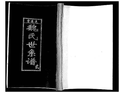 [魏]魏氏世系谱 (山东) 魏氏世系谱_二.pdf