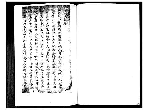 [武]武氏宗谱 (山东) 武氏家谱.pdf