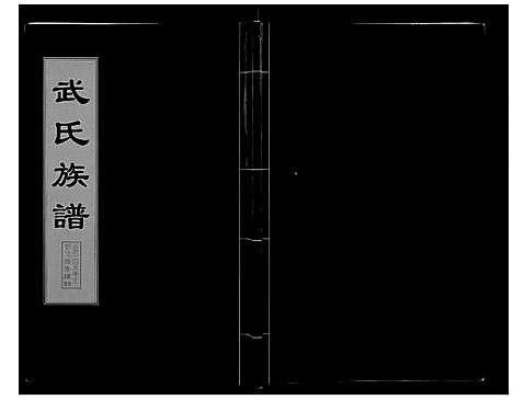 [武]武氏族谱_6卷 (山东) 武氏家谱_五.pdf