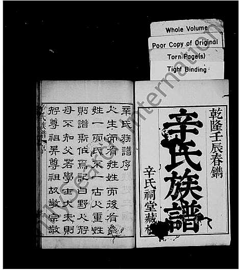 [辛]辛氏族谱_6卷 (山东) 辛氏家谱.pdf