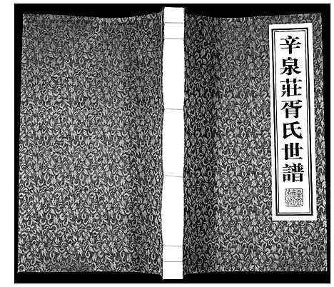 [胥]胥氏世谱 (山东) 胥氏世谱.pdf