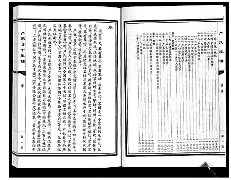 [严]严氏家谱 (山东) 严氏家谱.pdf