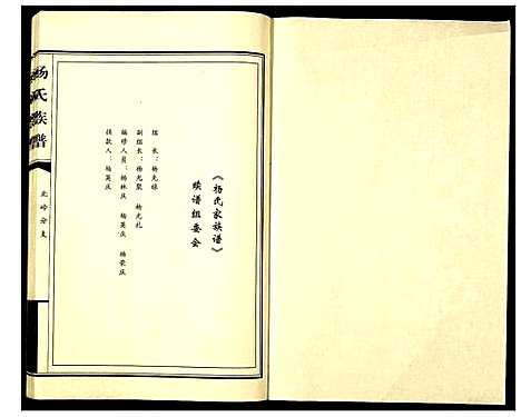 [杨]杨氏家族谱书 (山东) 杨氏家家谱.pdf