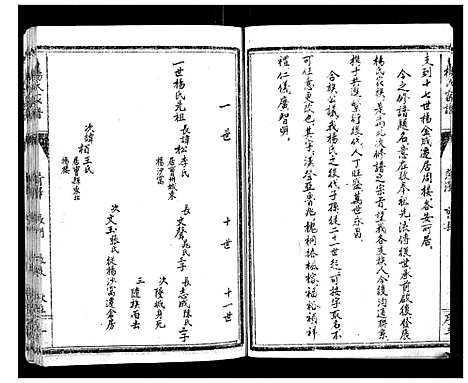 [杨]杨氏家谱 (山东) 杨氏家谱.pdf