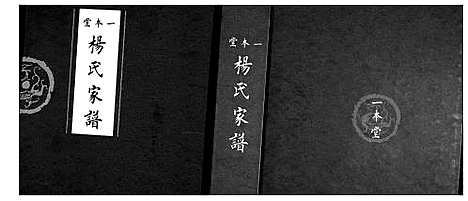 [杨]杨氏家谱 (山东) 杨氏家谱.pdf