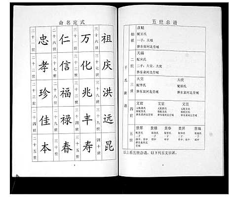 [于]于氏宗谱 (山东) 于氏家谱.pdf