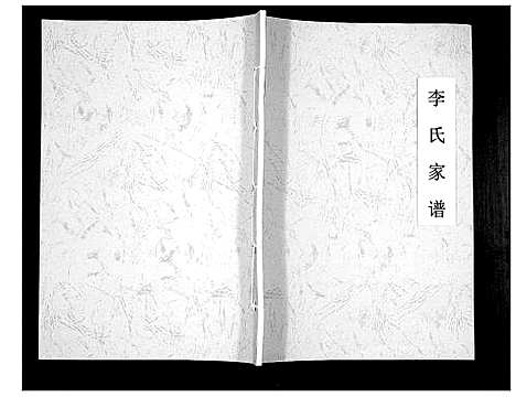 [李]李氏家谱_不分卷 (山西) 李氏家谱.pdf