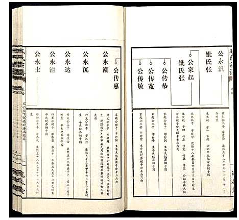 [王]王氏宗谱 (山西) 王氏家谱_四.pdf