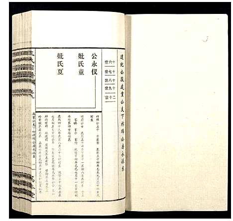 [王]王氏宗谱 (山西) 王氏家谱_九.pdf