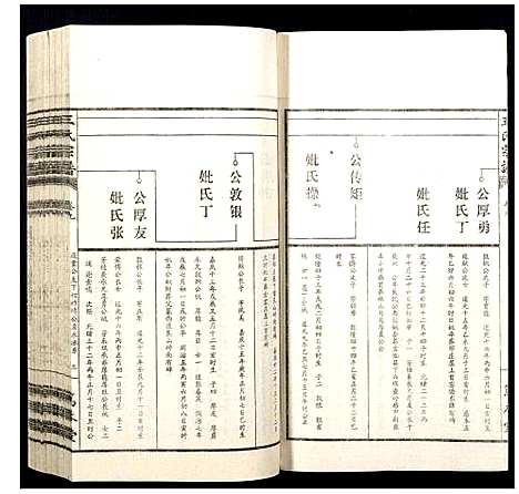 [王]王氏宗谱 (山西) 王氏家谱_九.pdf