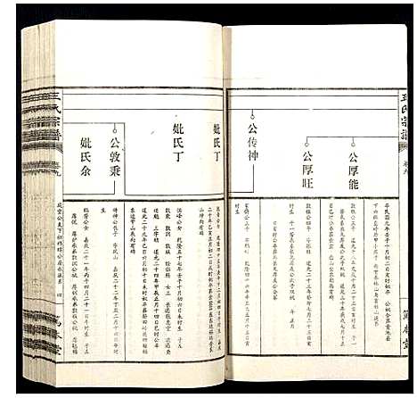 [王]王氏宗谱 (山西) 王氏家谱_九.pdf