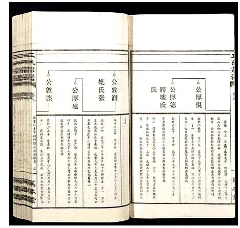 [王]王氏宗谱 (山西) 王氏家谱_九.pdf