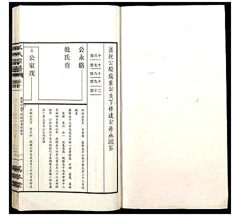 [王]王氏宗谱 (山西) 王氏家谱_十一.pdf