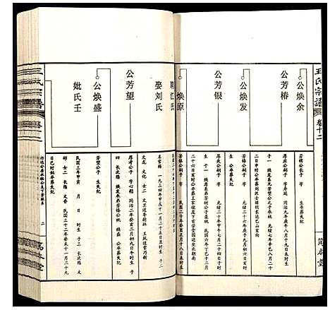 [王]王氏宗谱 (山西) 王氏家谱_十二.pdf