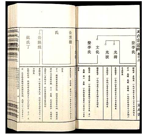 [王]王氏宗谱 (山西) 王氏家谱_十二.pdf