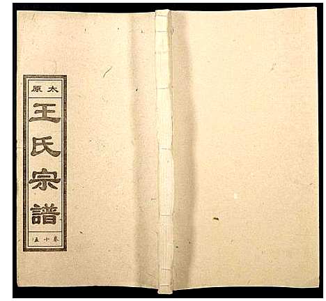 [王]王氏宗谱 (山西) 王氏家谱_十六.pdf