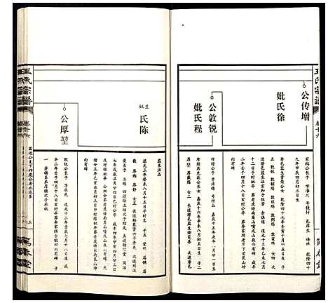 [王]王氏宗谱 (山西) 王氏家谱_十七.pdf