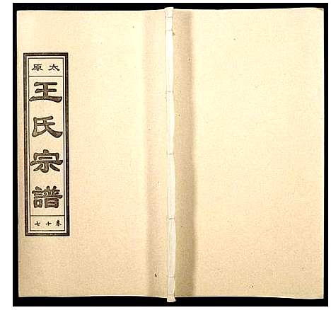 [王]王氏宗谱 (山西) 王氏家谱_十八.pdf