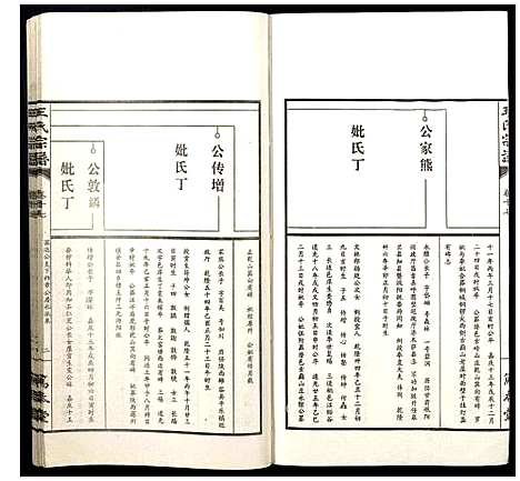 [王]王氏宗谱 (山西) 王氏家谱_十八.pdf