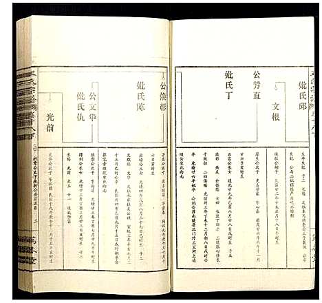 [王]王氏宗谱 (山西) 王氏家谱_二十.pdf