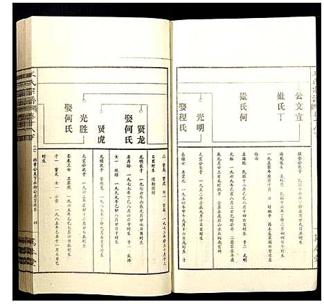 [王]王氏宗谱 (山西) 王氏家谱_二十.pdf