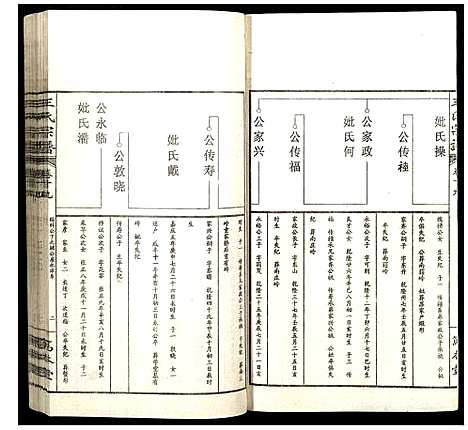 [王]王氏宗谱 (山西) 王氏家谱_二十二.pdf