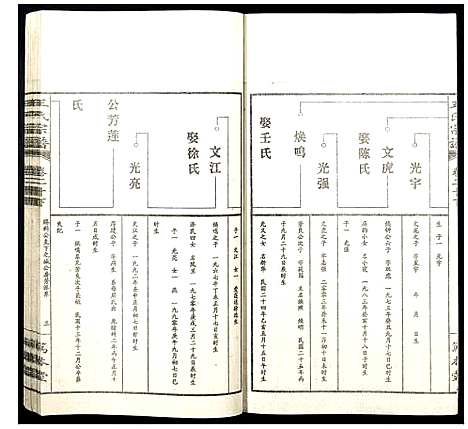 [王]王氏宗谱 (山西) 王氏家谱_二十四.pdf