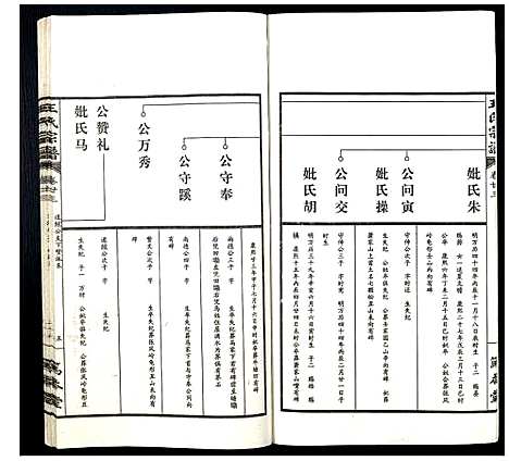 [王]王氏宗谱 (山西) 王氏家谱_二十九.pdf