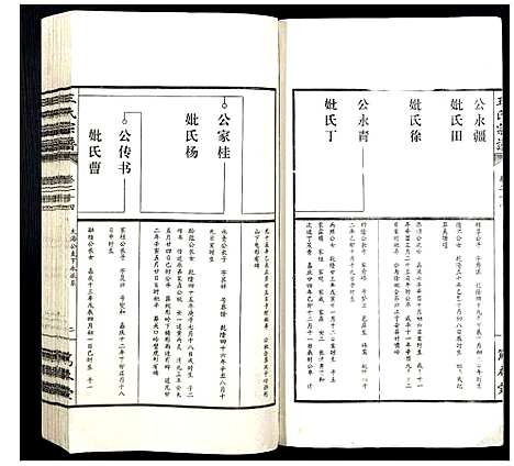 [王]王氏宗谱 (山西) 王氏家谱_三十.pdf