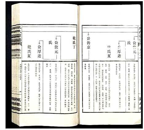 [王]王氏宗谱 (山西) 王氏家谱_三十.pdf