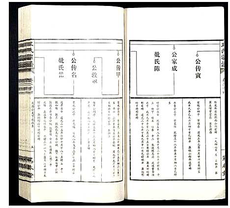 [王]王氏宗谱 (山西) 王氏家谱_三十.pdf