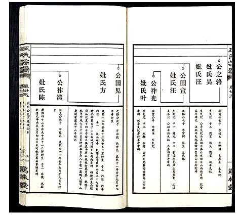 [王]王氏宗谱 (山西) 王氏家谱_三十一.pdf