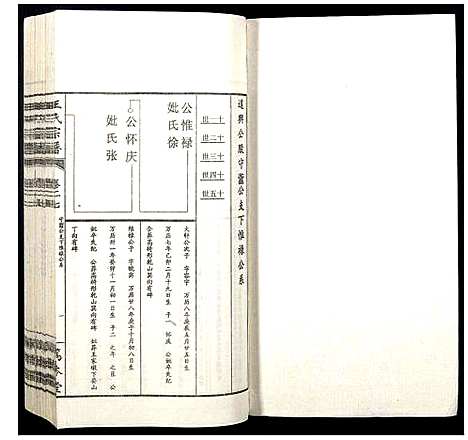 [王]王氏宗谱 (山西) 王氏家谱_三十三.pdf