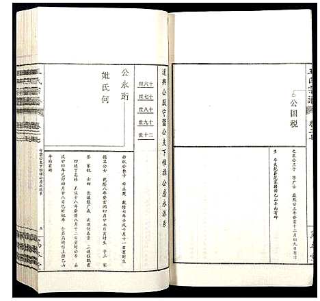 [王]王氏宗谱 (山西) 王氏家谱_三十三.pdf