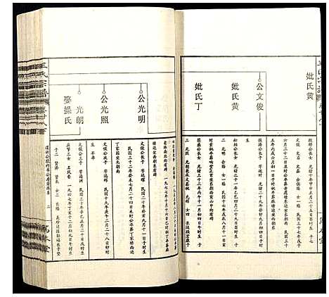 [王]王氏宗谱 (山西) 王氏家谱_三十五.pdf