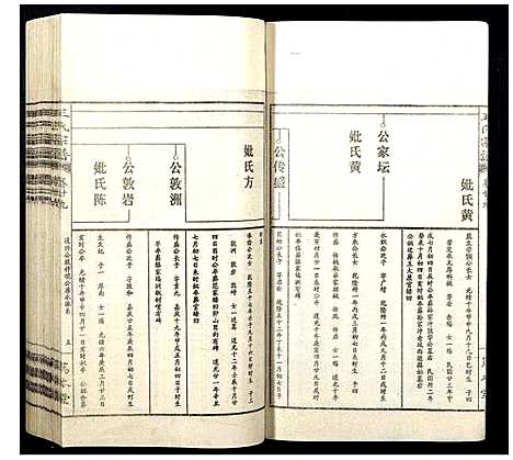 [王]王氏宗谱 (山西) 王氏家谱_三十六.pdf