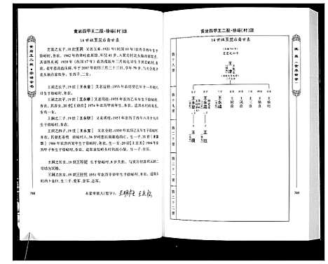 [王]黄岩王_经_二股宗谱全书 (山西) 黄岩王(经)二股家谱_三.pdf