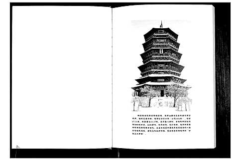 [杨]杨氏族谱 (山西) 杨氏家谱.pdf