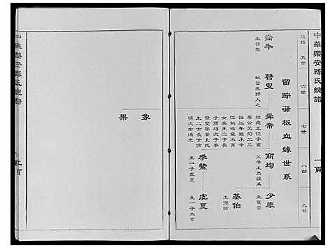 [孙]中华乐安孙氏总谱 (天津) 中华乐安孙氏总谱.pdf