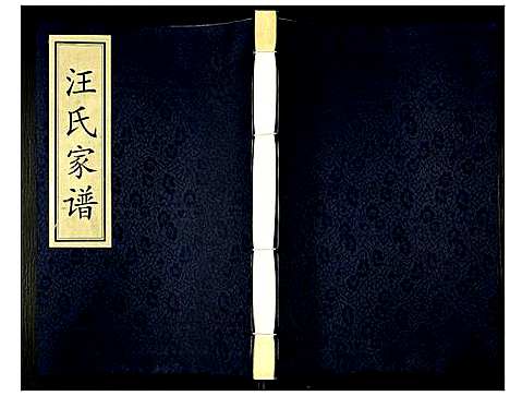 [汪]汪氏家谱 (陜西) 汪氏家谱.pdf