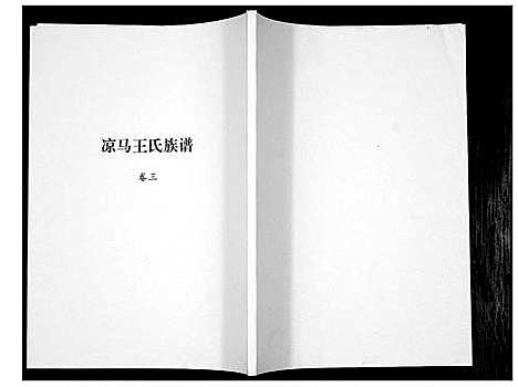 [王]凉马王氏族谱_4卷 (陜西) 凉马王氏家谱_三.pdf