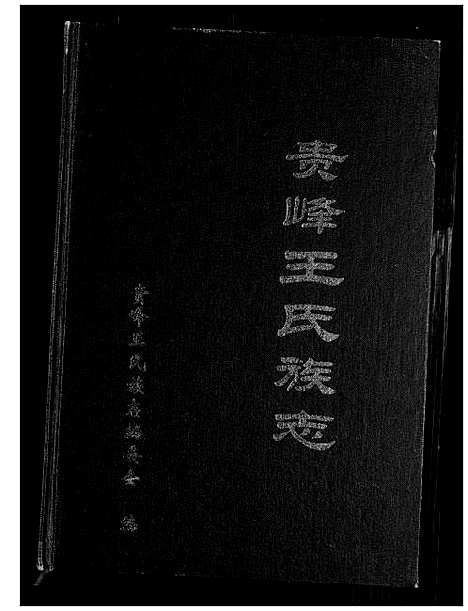 [王]贵峰王氏族志 (云南) 贵峰王氏家志.pdf