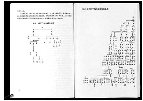 [杨]喜洲杨氏家谱_不分卷 (云南) 喜洲杨氏家谱_一.pdf