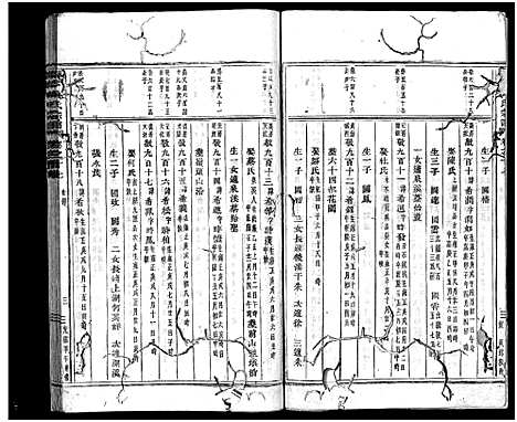 [吴]南岑吴氏宗谱_40卷_及卷末 (浙江) 南岑吴氏家谱_十六.pdf