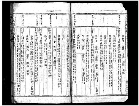 [吴]南岑吴氏宗谱_40卷_及卷末 (浙江) 南岑吴氏家谱_九.pdf