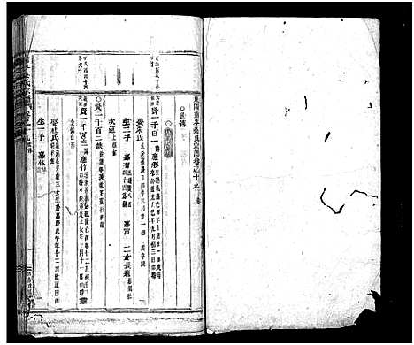 [吴]南岑吴氏宗谱_40卷_及卷末 (浙江) 南岑吴氏家谱_十.pdf