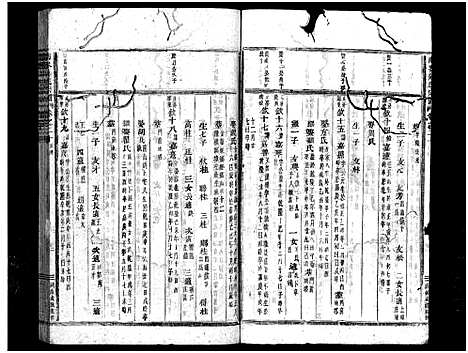 [吴]南岑吴氏宗谱_40卷_及卷末 (浙江) 南岑吴氏家谱_十一.pdf